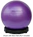 Isokinetics Inc. Exercise Ball Base - One Piece Construction - 19