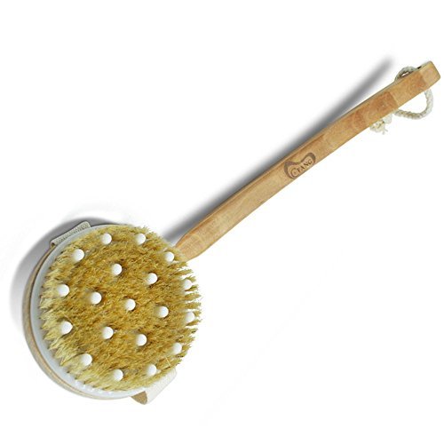 Body Brush Back Scrubber Dry Skin Brushing Natural Bristles with Long Wooden Handle for Cellulite and Exfoliating