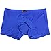 ALT 2017 Men 's Underwear Sexy Temptation Separation Ice Silk Translucent JJ Sets (Large, Blue)