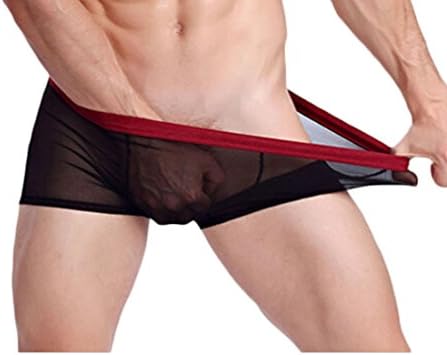 TheFound Men's Underpants Transparent Underwear See Through Boxer Briefs Short Leg