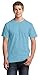 Fruit of the Loom Mens 100% Heavy Cotton HD T-Shirt