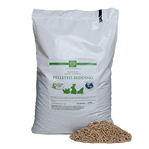 The Best Rabbit Bedding Dogtime