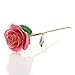 24 K Gold Foil Trim Long Stem Rose Last Forever Best Gift for Valentine's Day, Mother's Day,anniversary, Birthday Gift (Pink) by Holidayli
