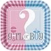 Gender Reveal Deluxe Party Pack Serves 16 Plates Cups Napkins & Tablecloth