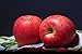 Juvale Apples for Crafts & Decoration - 2.7 x 2.2 x 2.5 in, Red & Green, 6-Pack - Realistic Artificial Fruit That Look Real - Decorative Fruit for Home Decor