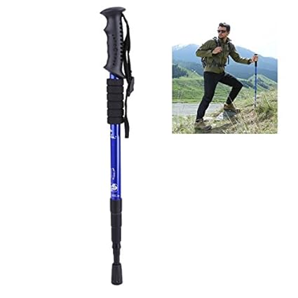 carbon walking stick