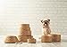 Mason Cash Cane Lettered Stoneware Dog Bowl, 17 cm