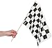 Fun Express - Plastic Checkered Racing Flags for Party - Perfect for Racing Theme Parties Events & Celebrations - Durable Flags Event Deco Themed Parties & Special Occasions - Black/White - 12 Pieces