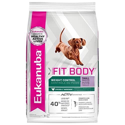 Best Dog Food For Dachshunds Dogtime