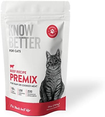 cute cross breed puppies