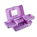 Caboodles Pretty in Petite Purple Marble Vintage Case, 1 Pound