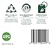 Traditional Medicinals Tea, Organic Green Tea Ginger, Promotes Healthy Digestion, 96 Tea Bags (6 Pack)