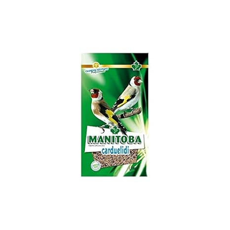 Manitoba Mixtura para jilgueros cardueldi 15 KG + Chia: Amazon.es ...