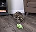 SmartyKat Cruzin' Critter Electronic Motion Cat Toy, Battery Powered - Green, One Size