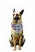 American Flag Pet Bandana - 4th of July Sale Handmade Large Dog or Cat Handcrafted Flag Design Bandana for Pets,