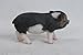 Hi-Line Gift Ltd Dark Brown Standing Baby Pig, 5