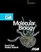 Molecular Biology