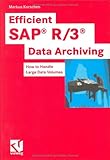 Efficient SAP R/3 Data Archiving : How to Handle Large Data Volumes, Korschen, Markus, 3528057998