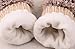 SportsWell Women's Cartoon Hedgehog Winter Knitted Cotton Gloves Girls' Cute Thick Mittens Beige