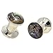 Pair (2) Wild Abalone Shell Inlay Ear Plugs Stainless Steel Screw Fit Stash Gauges - 4G 5MM