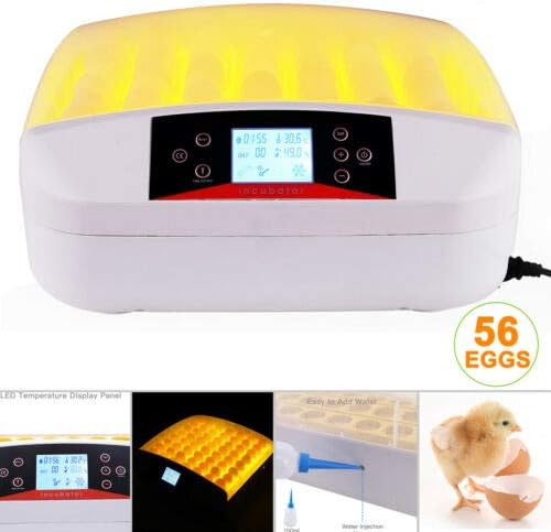 Canvoi 56 Digital Egg Incubator Egg Hatcher Automatic Turner Poultry Chicken Bird Duck