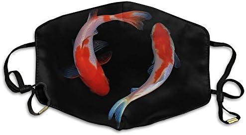 WQDXZ Unisex Dust Allergy Flu Masks Asian Carp Personality Fashion Mask