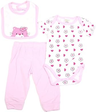 Set of Three Piece Baby Girl Pink Floral Bodysuit Clothing Set (0-3 Month)