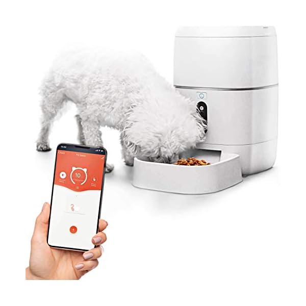 wireless pet feeder