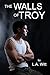 The Walls of Troy by L.A. Witt