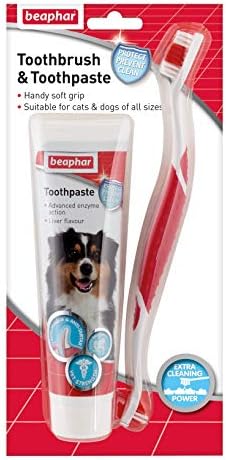 beaphar toothbrush and toothpaste kit