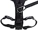 Amazon Basics Adjustable Dog Leash with Harness, Large (50-80 lbs.)