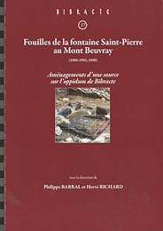 Fouilles de la fontaine Saint-Pierre au mont Beuvray, 1988-1992, 1996