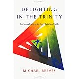 Delighting in the Trinity: An Introduction to the Christian Faith