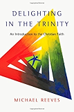 Delighting in the Trinity: An Introduction to the Christian Faith