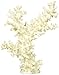 Deep Blue Professional ADB80043 Branch Coral for Aquarium, 5.5 by 3 by 6.5-Inch