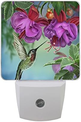 JOYPRINT Led Night Light Hummingbirds Floral Flower Fuchsia Purple, Auto Senor Dusk to Dawn Night Light Plug in for Kids Baby Girls Boys Adults Room