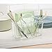 InterDesign Clarity Cutlery Flatware Caddy, Silverware, Utensil, and Napkin Holder - Clear