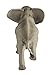 Safari Ltd. African Bull Elephant Figurine - Realistic 7.6