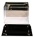 Better Display Cases Acrylic Mini - Miniature Football Helmet (not Full Size) Display Case with Mirror, Gold Risers and Black Base (A003-GR)