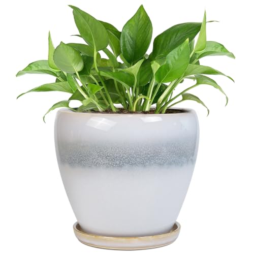 Epfamily Ceramic Plant Pot