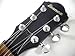 Ibanez Darkstone Electric Guitar DN400 AP Aged Plaster