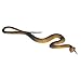 Walmeck Simulation Black Rubber Snake Fake Snake Garden Props Tricky Funny Toy