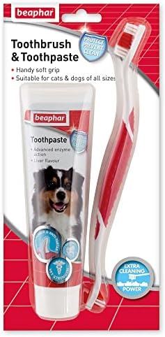 Beaphar Toothbrush Toothpaste Combipack For Cats Dogs price in