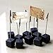 NUOLUX 10pcs Memo Clip Holder Stand with Alligator Clasp for Pictures Card Paper Note Clip (Black)