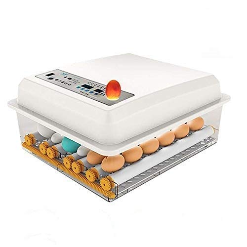 Automatic Incubator 16 Eggs, Hatcher Machine with Temperature Control, Automatic Egg Turning + Built-in Egg Candler, Clear General Purpose Incubators for Chickens Ducks Goose Birds by TZUTOGETHER