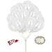 White Balloons HoveBeaty 12 Inches Thicken Latex Metallic Balloons 100 Pack for Wedding Party Baby Shower Christmas Birthday Carnival Party Decoration Supplies