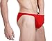 Avidlove Men Brief Breathable Ice Silk Triangle Underpants Solid Boxers Bikinis Red, XL