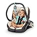 Bright Starts Zig Zag Safari Activity Gym and Play Mat with Take-Along Toys, Ages Newborn +
