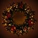 ANOTHERME Pre-lit 24 Inch Christmas Wreath 50 Clear LED Lights, with Timer, Pine Cones, Red Berries, Red Bows, Door Wreath with Snow Flocked