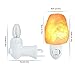PULNDA Original Himalayan Salt Lamps Crystal Salt Lamp Natural Air Purifier and Soft Night Light for Living Dining Bed Room and Office (Cone)